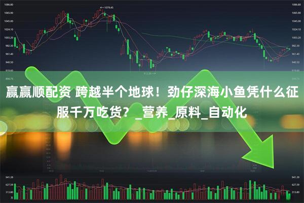赢赢顺配资 跨越半个地球！劲仔深海小鱼凭什么征服千万吃货？_营养_原料_自动化