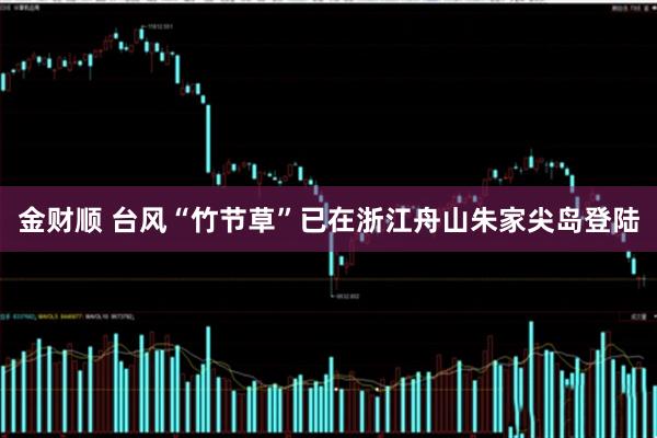 金财顺 台风“竹节草”已在浙江舟山朱家尖岛登陆